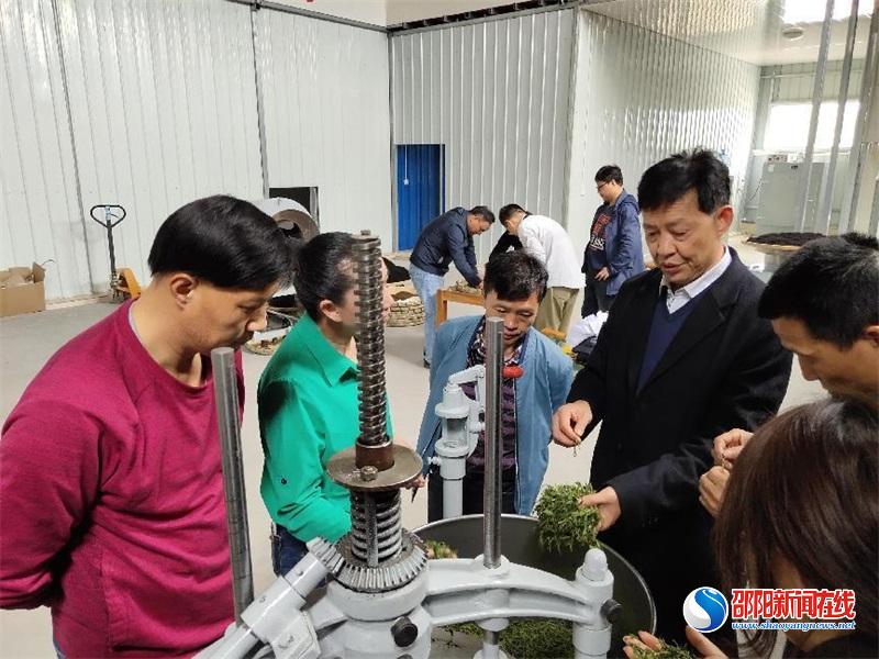 党建指航向，城步峒茶香——城步苗族自治县市场监管局非公党建指导助企记
