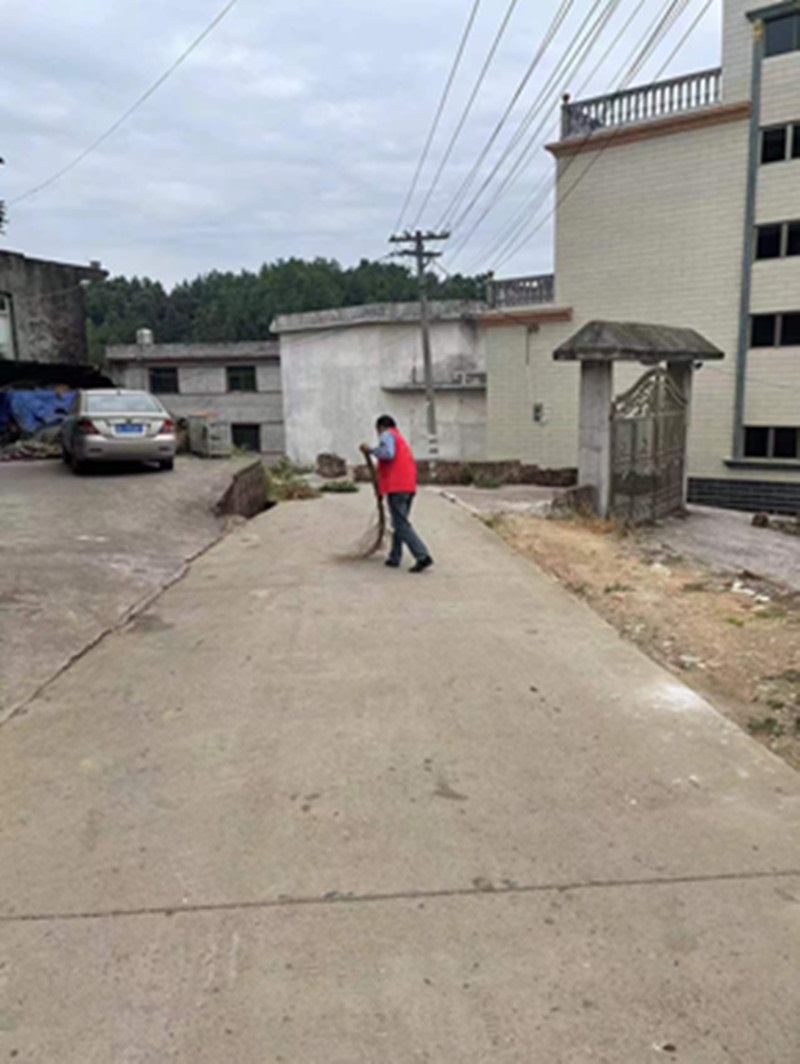 隆回县桃花坪街道：全面开展人居环境卫生整治“百日行动”