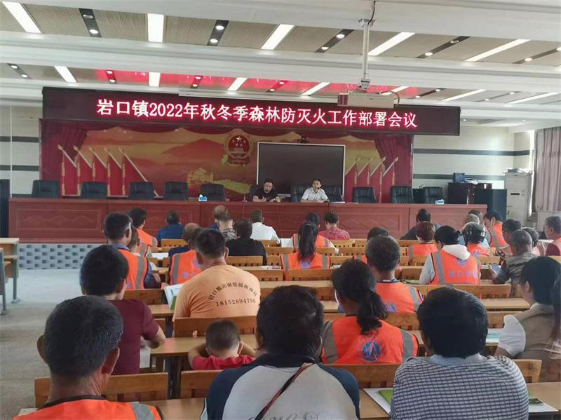 隆回县岩口镇召开2022年秋冬季森林灭火工作部署会议
