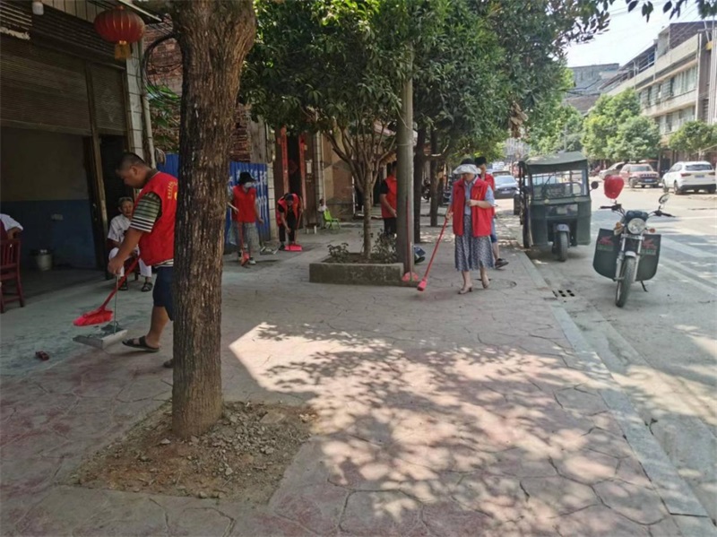 政协隆回县委员会荷香桥镇活动组组织开展人居环境卫生志愿服务活动