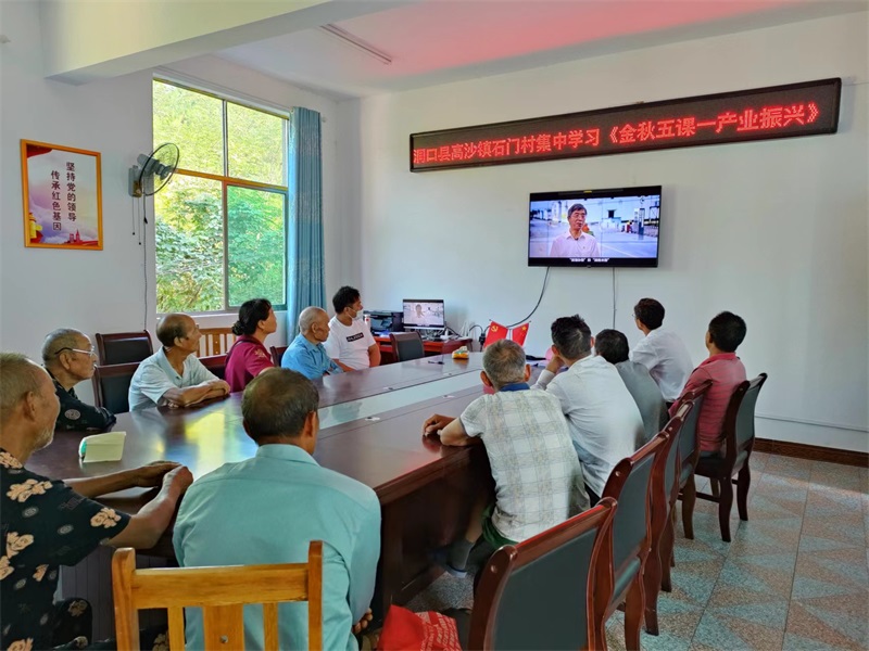 学“金秋五课” 促产业发展
——洞口县高沙镇党委政府组织党员干部集中观看乡村振兴系列专题片
