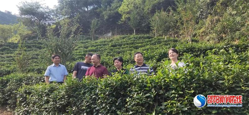 洞口县古楼雪峰云雾茶有限公司迎接国家级生态农场复核
