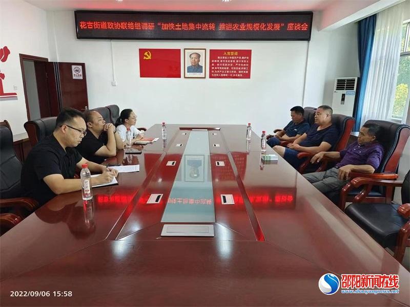 政协洞口县花古街道联络组召开“加快土地集中流转，推进农业规模化发展”调研座谈会