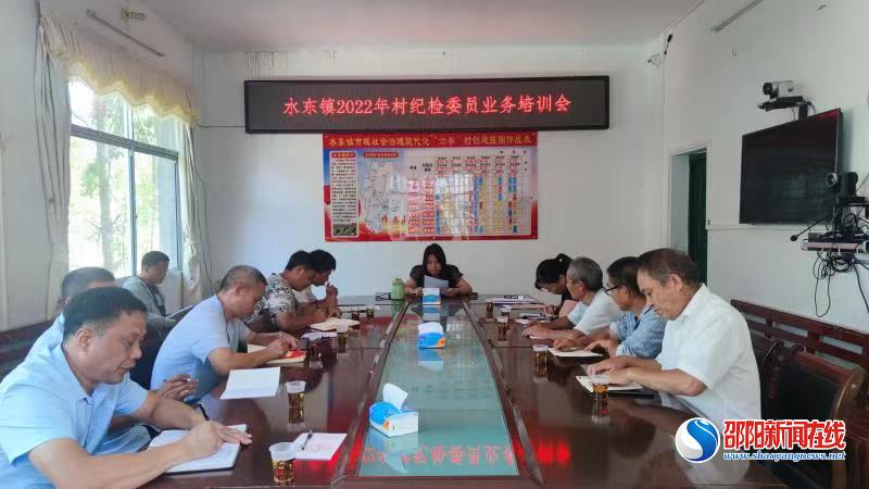 洞口县水东镇开展2022年村纪检业务培训