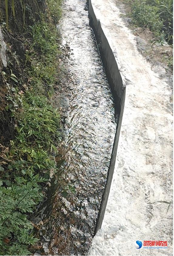 洞口县江口镇畔上村：开渠引得“活”水来