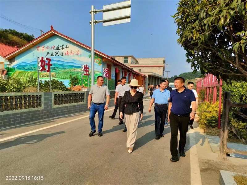 新宁县全力推进“湖南省最美农村路”创建工作