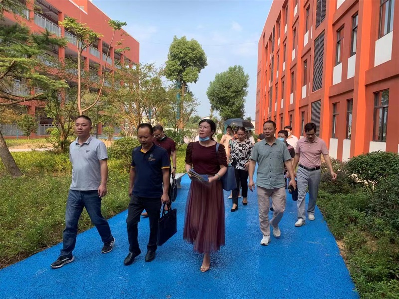 邵阳市健康县建设专家组对洞口县健康县建设工作进行市级技术评估
