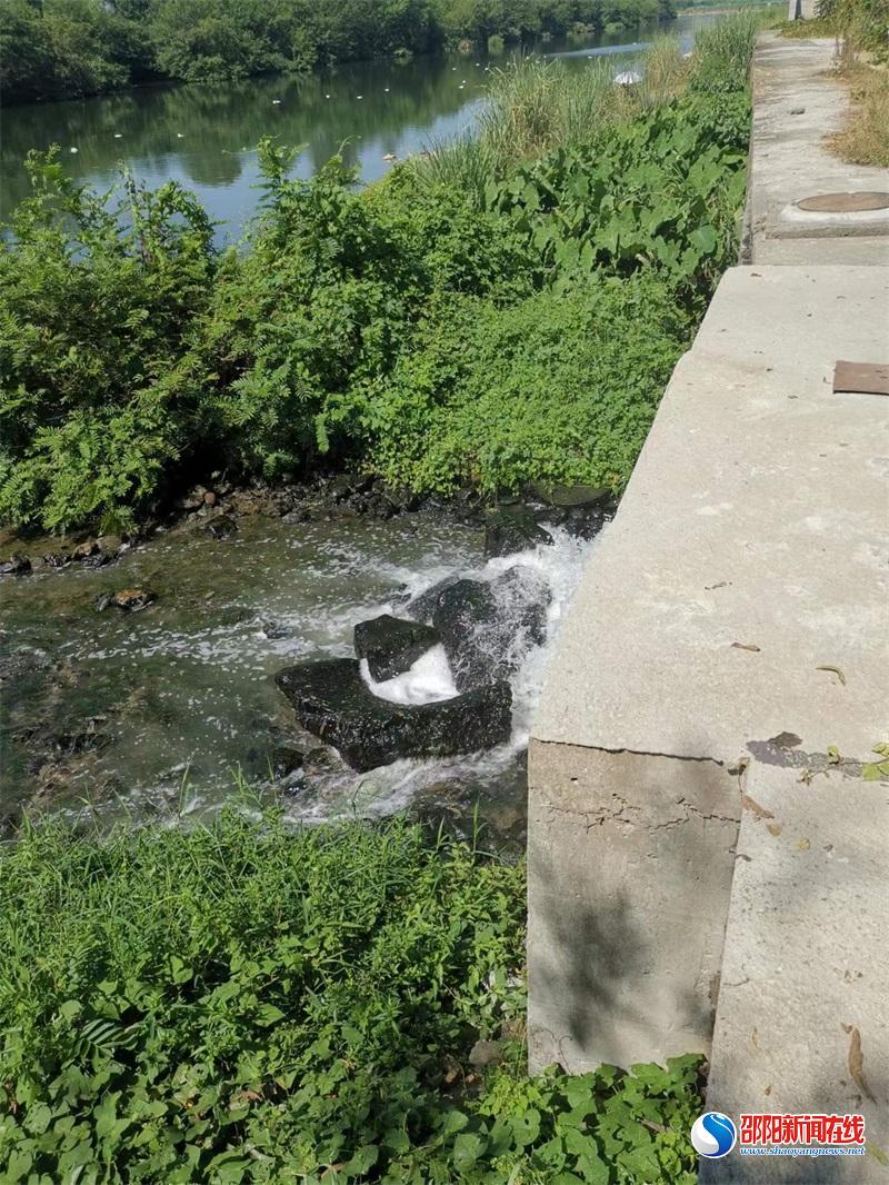 洞口县：部门联合巡查平溪江水体，消除环境安全隐患
