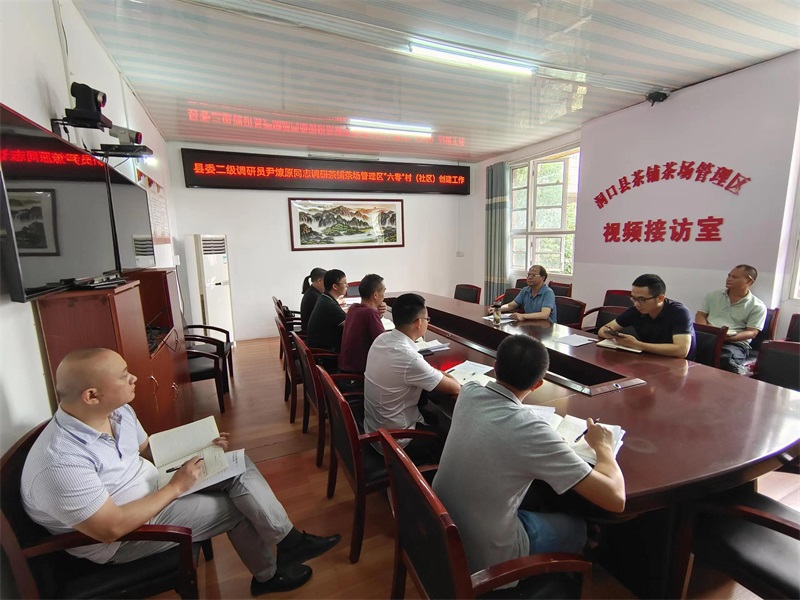 洞口县委二级调研员一行到茶铺茶场管理区督导“六零”创建工作
