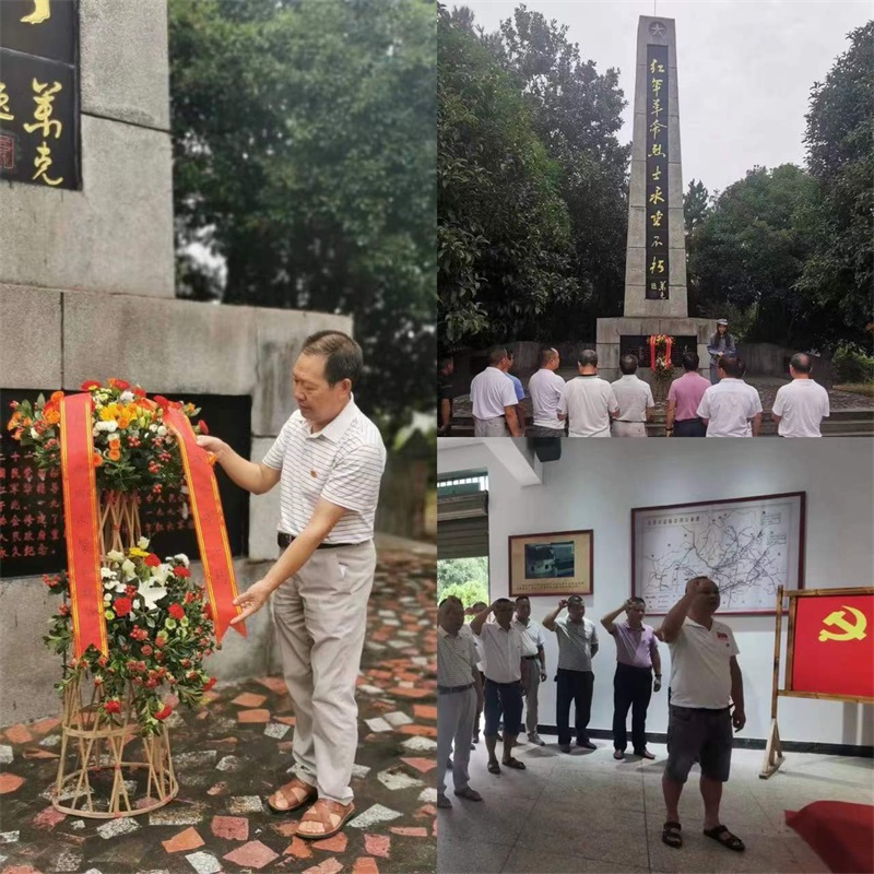 洞口县竹市镇大水片小党支部开展“缅怀革命先烈，喜迎党的二十大”党员教育活动