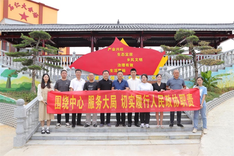 洞口县岩山镇委员工作室开展“喜迎二十大 委员在行动”主题系列活动