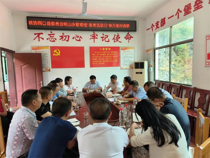 洞口县桐山乡开展政协“委员活动日”专题调研活动
