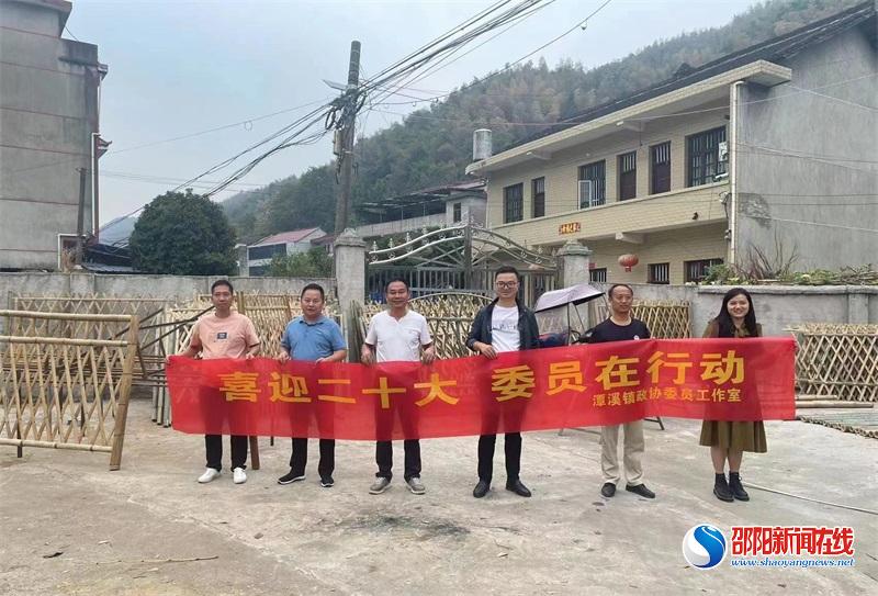 新邵县潭溪镇政协开展竹产业发展专题调研