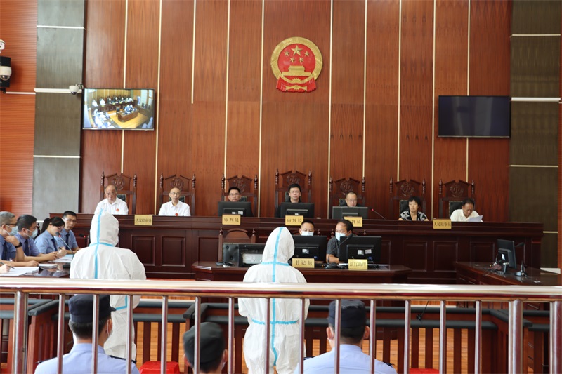 城步法院当庭宣判一起刑事附带民事公益诉讼案