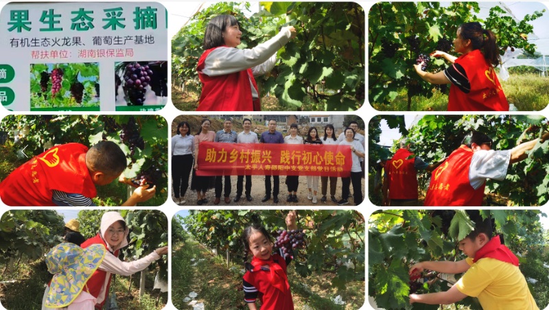 助力乡村振兴 践行初心使命——记太平人寿邵阳中支党支部特别党日活动