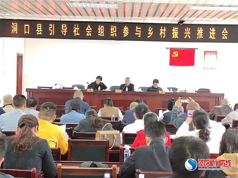 洞口县积极推进社会组织参与乡村振兴