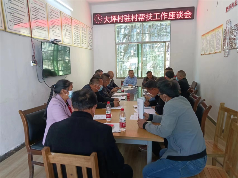 中国银行洞口支行、洞口职中到渣坪乡大坪村调研乡村振兴工作