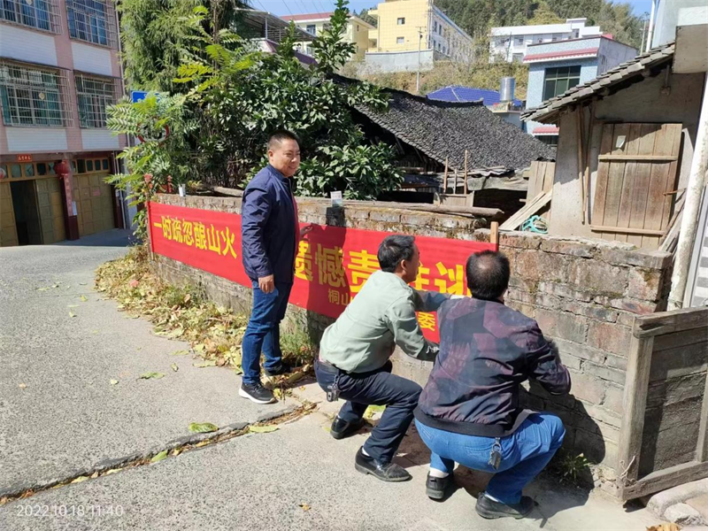 洞口县桐山乡筑牢森林“防火墙”