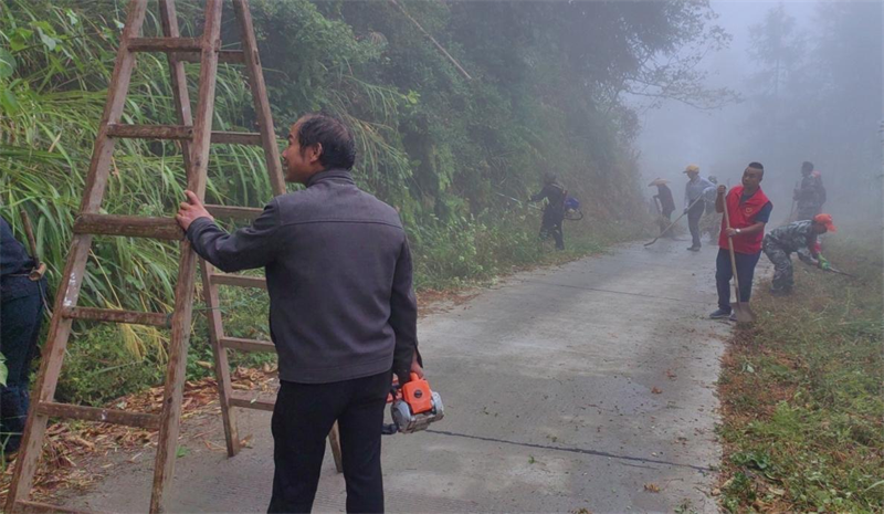 洞口县桐山乡：织密森林防火网 筑牢森林防火带