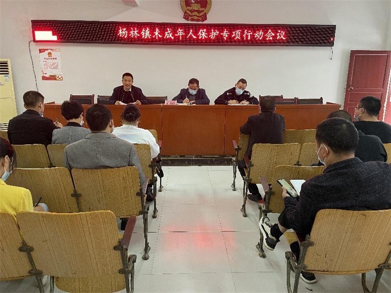 洞口县杨林镇召开未成年人保护专项行动会议