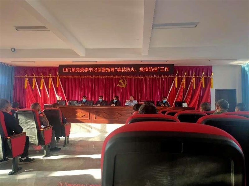 洞口县山门镇：夯实防疫“哨点”作用，筑牢群防群控防线