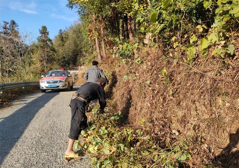 洞口县桐山乡马颈村：划好森林防火带，抓实森林防灭火
