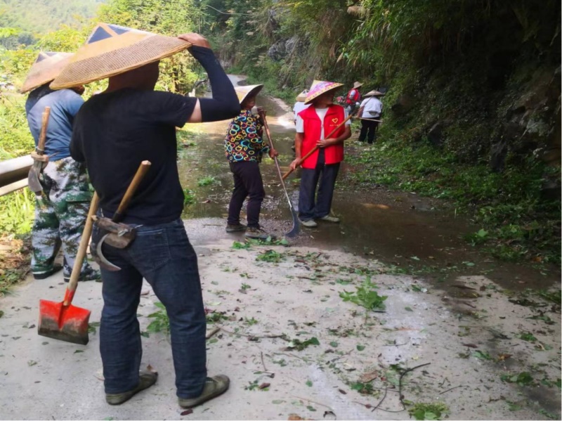 洞口县桐山乡中桃村：扫清路边火灾隐患，打赢森林防火战