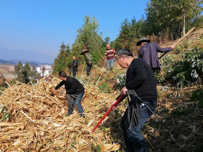 武冈市财政局积极开展森林防灭火志愿服务活动