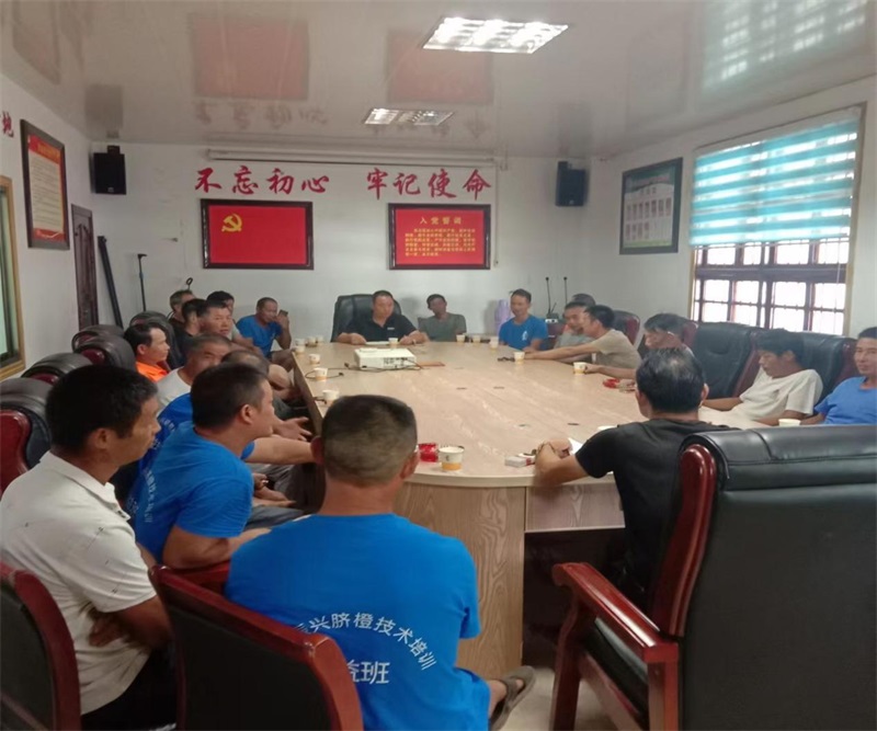 新宁县龙丰果业：勇立潮头 做产地品牌创建的标准“领跑者”
