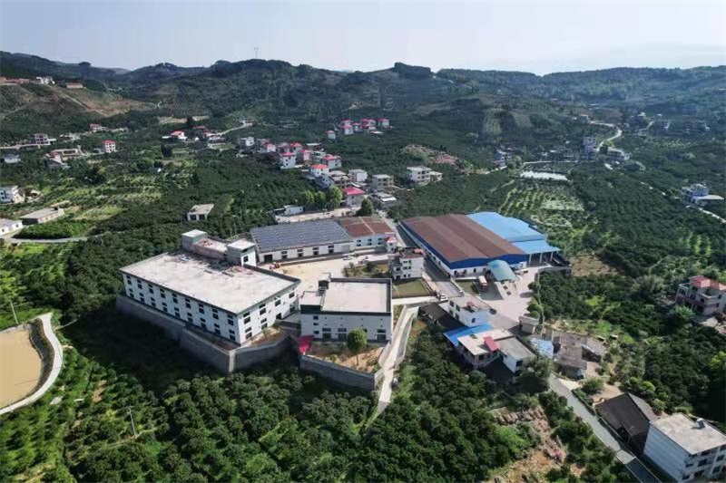 新宁县月汉村：把乡村产业文化推介与贯彻党的二十大精神相结合，着力打造“产业楹联第一村”