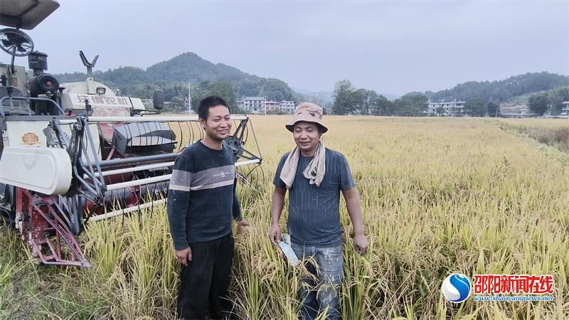 隆回县高平镇：“秋割”“战役”两不误，抗旱保粮稳产量