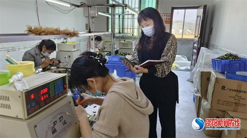 隆回县高平镇：开展企业复工复产疫情防控工作督查