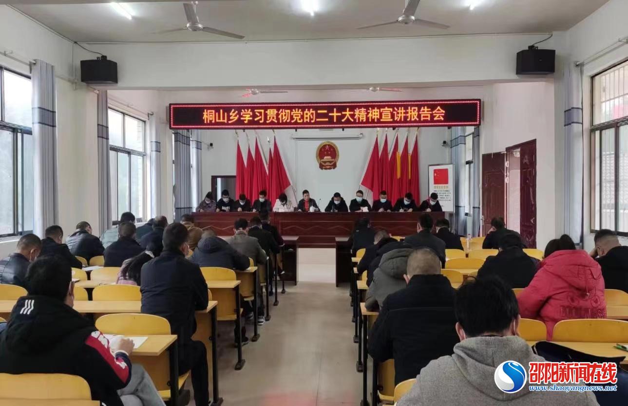 洞口县桐山乡学习宣传贯彻党的二十大精神