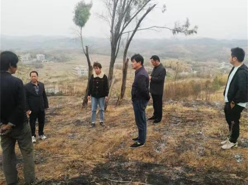 邵东市杨桥镇：利剑出鞘打响蓝天保卫战