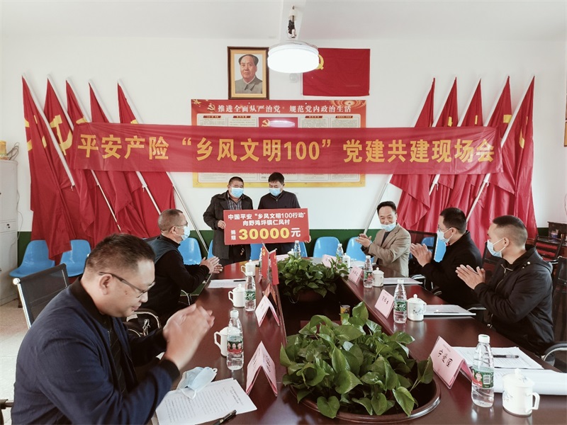 平安产险“乡风文明100行动”邵东站再出发