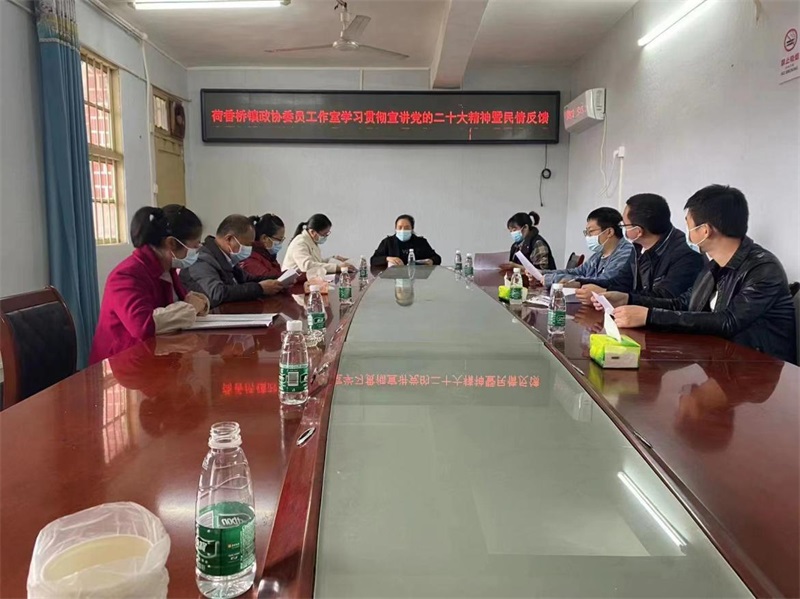 隆回县荷香桥镇政协委员工作室学习贯彻宣讲党的二十大精神