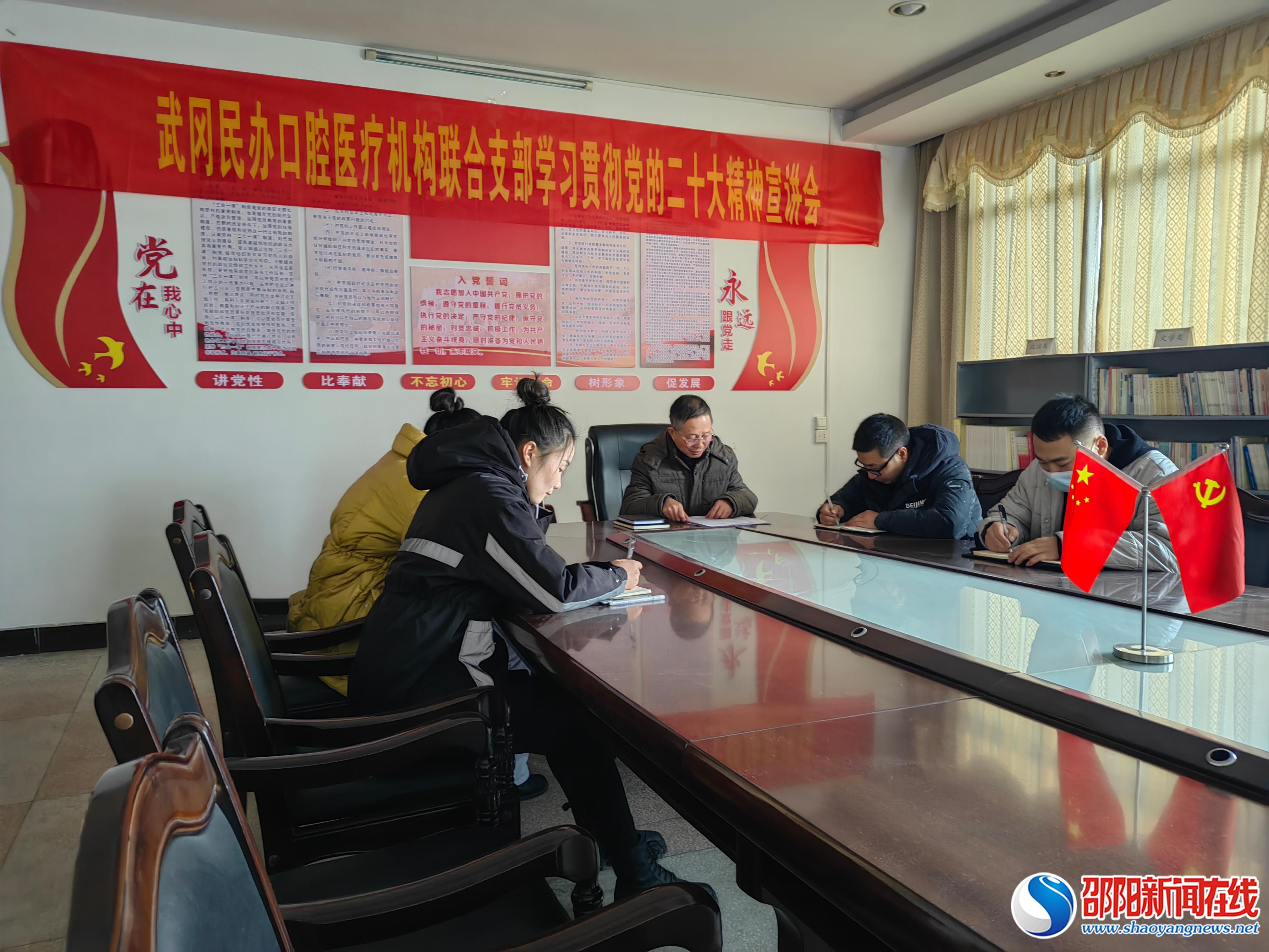 武冈民办口腔医疗机构联合支部宣讲党的二十大精神