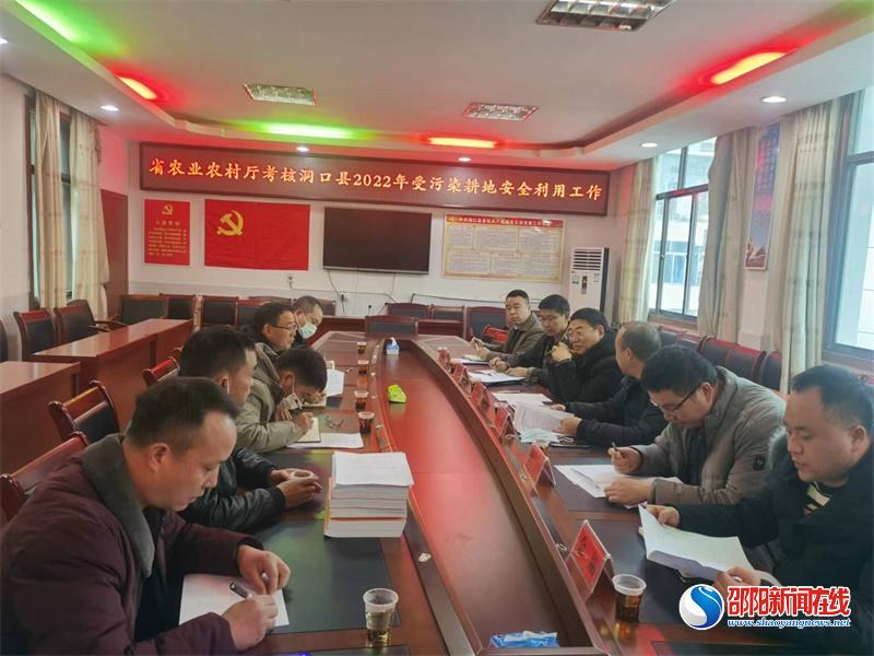 洞口县2022年受污染耕地安全利用工作顺利迎“考”