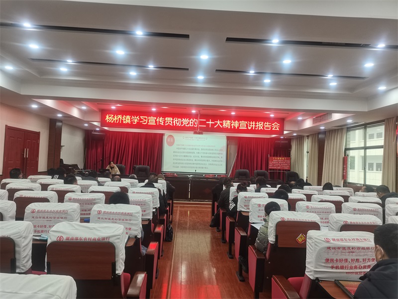 邵东市杨桥镇学习宣传贯彻党的二十大精神宣讲报告