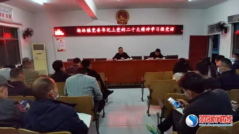 洞口县杨林镇：结合“一课一片一实践”，讲好党的二十大精神