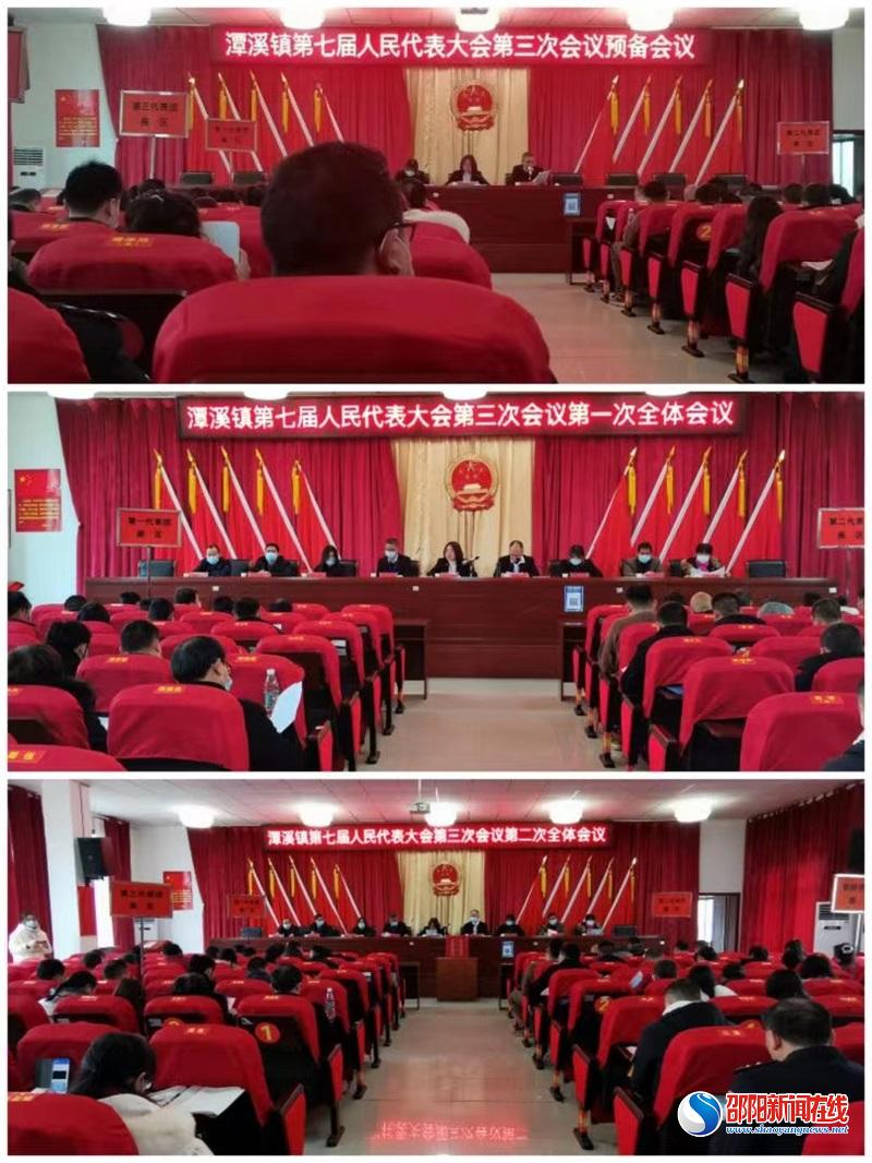 新邵县潭溪镇第七届人民代表大会第三次会议顺利召开