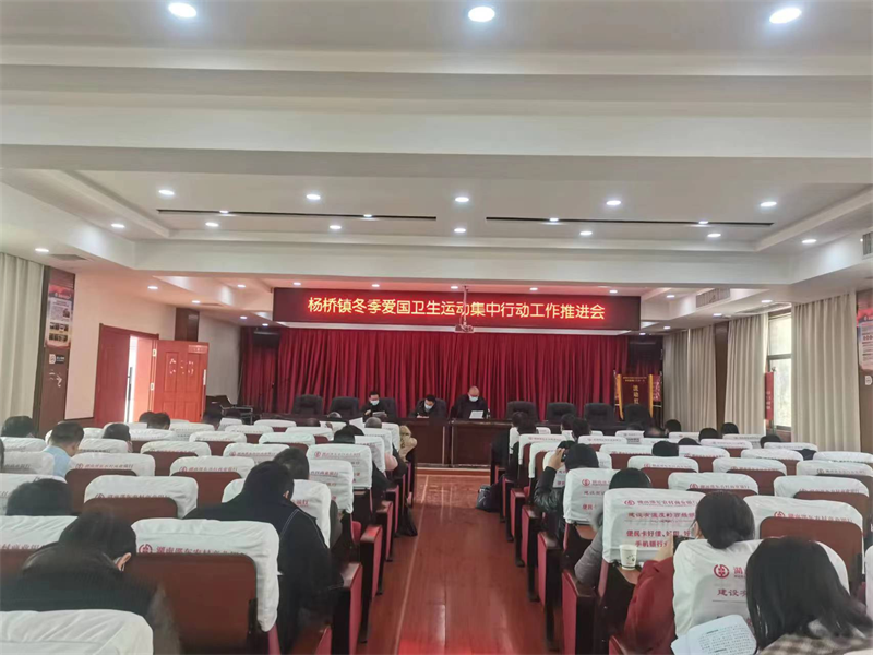 邵东市杨桥镇开展冬季爱国卫生运动集中行动