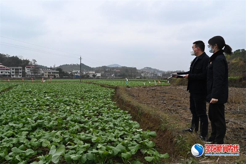 邵阳县检察院：积极回应人民关切，守住耕地保护红线