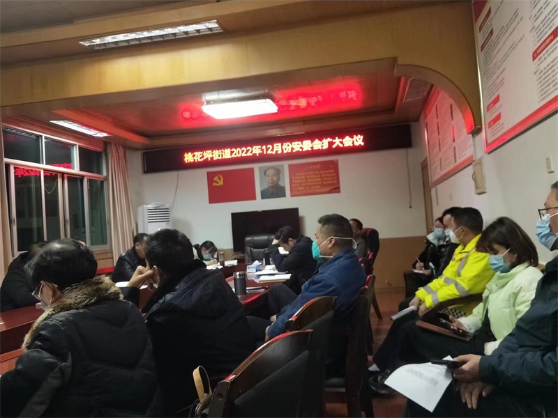 隆回县桃花坪街道召开岁末年初安全生产调度会