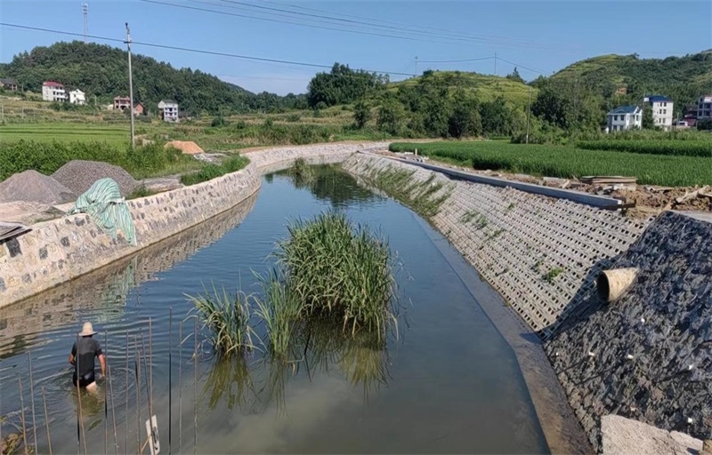 邵东市团山镇扎实开展河道清理整治专项行动