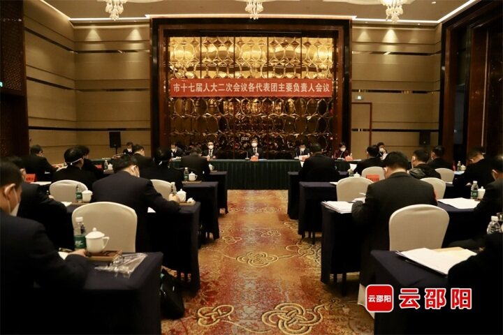 市十七届人大二次会议召开代表团负责人会议