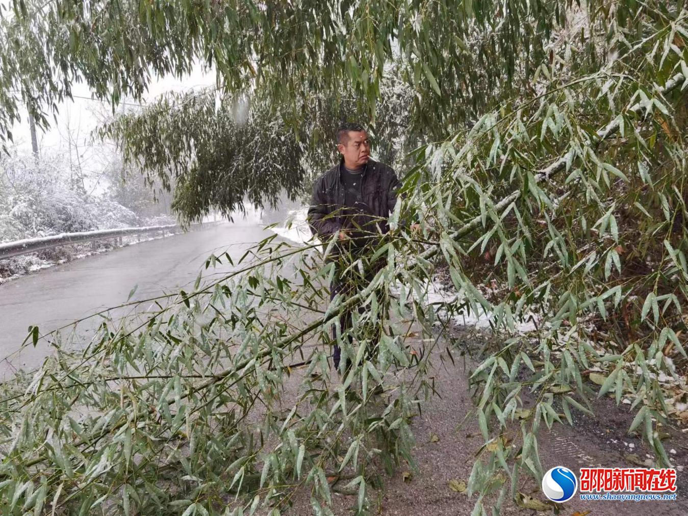 洞口县水东镇应对雨雪天气积极采取应急措施