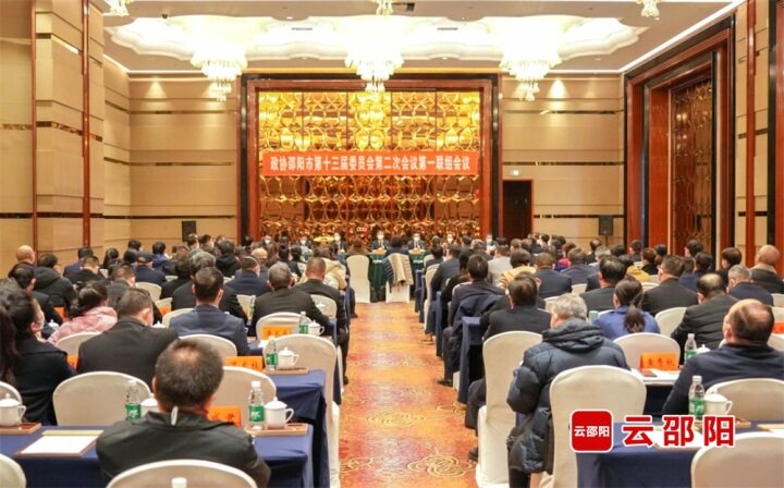 严华参加市政协十三届二次会议第一联组讨论