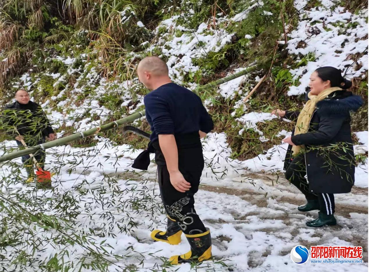 洞口县桐山乡：冰雪无情人有情，除雪清障暖民心
