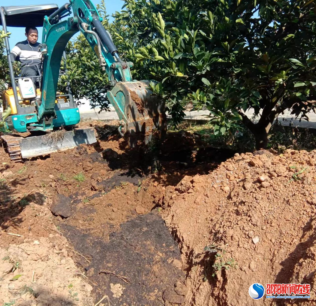 新宁县龙丰果业: 构建农业社会化服务模式